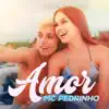 Mc Pedrinho - Amor - Single